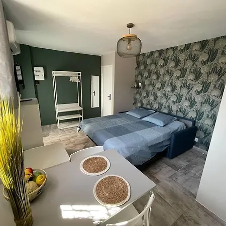 Nid Catalan Climatise Jardin Centre-ville * Perpignan