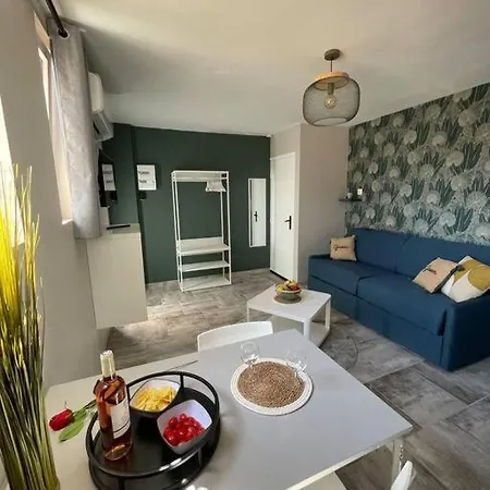 Nid Catalan Climatise Jardin Centre-ville Apartment Perpignan