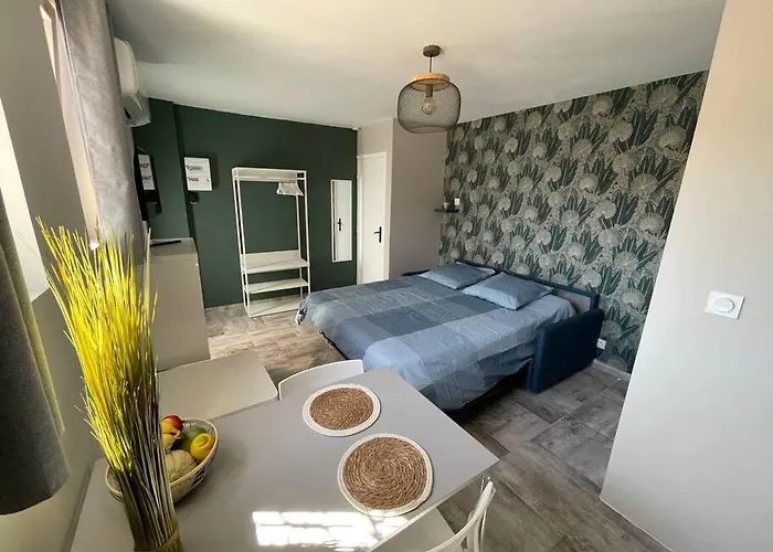 Nid Catalan Climatise Jardin Centre-ville * Perpignan