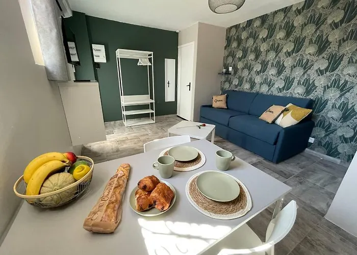 Nid Catalan Climatise Jardin Centre-ville * Perpignan