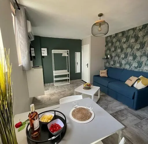 Nid Catalan Climatise Jardin Centre-ville Apartment Perpignan