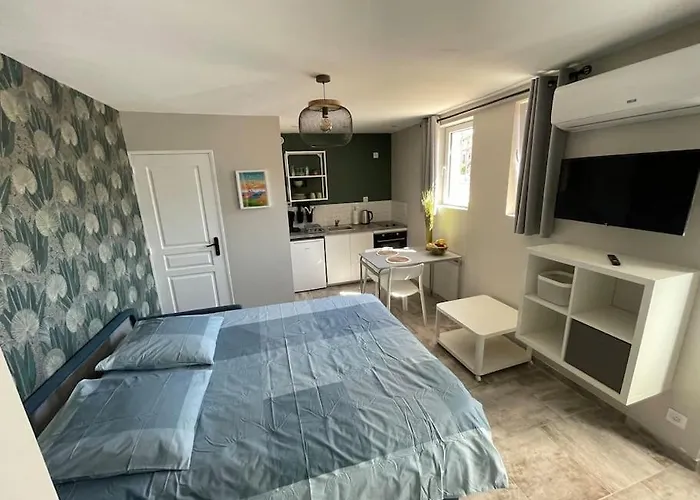 Nid Catalan Climatise Jardin Centre-ville Apartment Perpignan